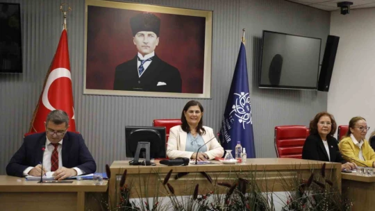 Aydın Büyükşehir Meclisi'nde 'Kadına yönelik şiddet' gündem oldu
