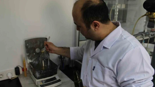 Aydın'da 'zeytinyağı dedektifleri'nden 1 yılda 4 bin zeytinyağı analizi