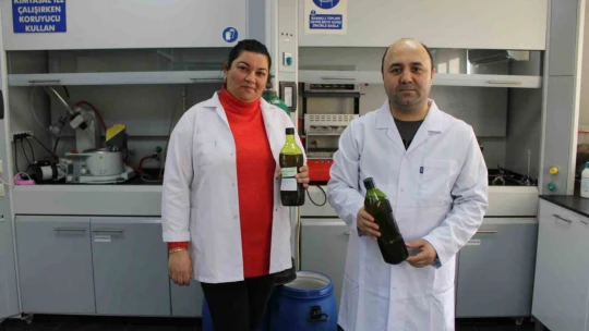 Aydın'da 'zeytinyağı dedektifleri'nden 1 yılda 4 bin zeytinyağı analizi
