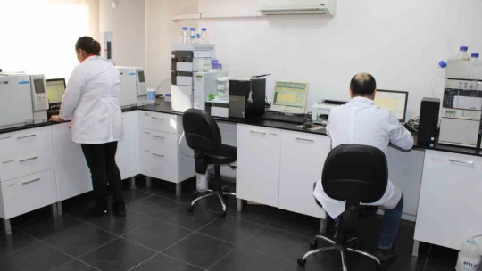 Aydın'da 'zeytinyağı dedektifleri'nden 1 yılda 4 bin zeytinyağı analizi