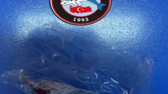 Aydın'da 1 haftada 21 aranan şahıs yakalandı