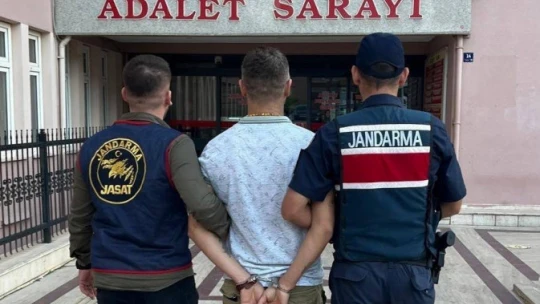 Aydın'da 11 suçtan aranan şahıs jandarma ekiplerince yakalandı