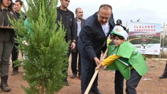Aydın'da 2 bin 23 mavi servi fidanı toprakla buluştu