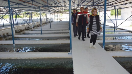 Aydın'da 2023 yılında balık ihracatından 230 milyon dolar gelir elde edildi