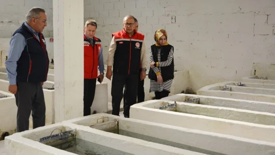 Aydın'da 2023 yılında balık ihracatından 230 milyon dolar gelir elde edildi