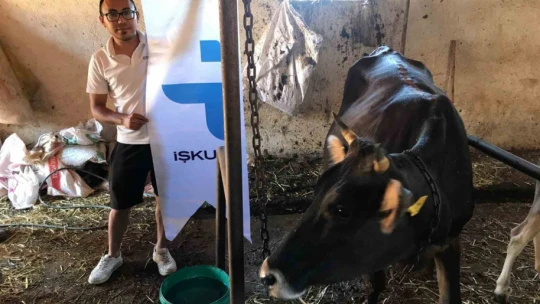 Aydın'da 23 bin 339 kişi istihdama kazandırıldı