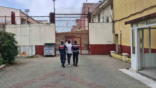 Aydın'da 40 aranan şahıs jandarmadan kaçamadı