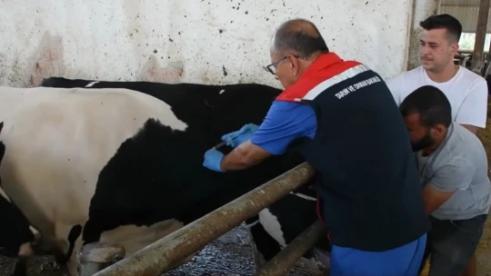Aydın'da 47 bin doz ücretsiz aşı yapılacak