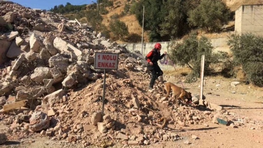Aydın'da 7 büyüklüğünde deprem tatbikatı gerçekleştirildi