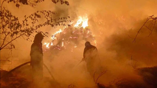 Aydın'da alevler geceyi aydınlattı