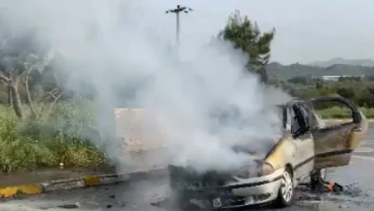Aydın'da araç yangını