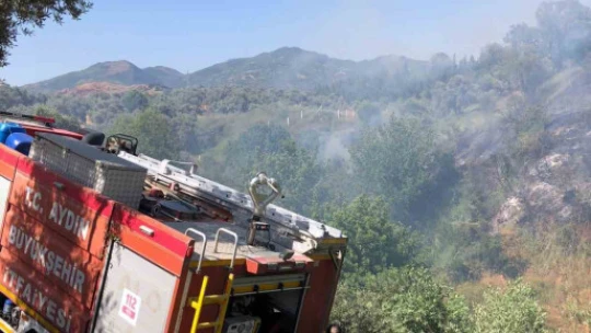 Aydın'da arazi yangını korkuttu
