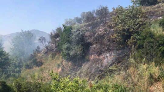 Aydın'da arazi yangını korkuttu