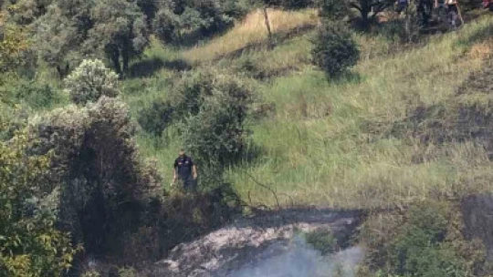 Aydın'da arazi yangını korkuttu