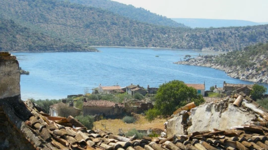 Aydın'da Bafa Gölü'nün 8 bin yıllık hikayesi konuşuldu