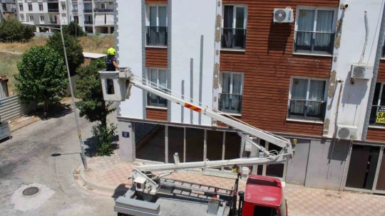 Aydın'da balkonda sıkışan kumruyu vatandaşın dikkati kurtardı