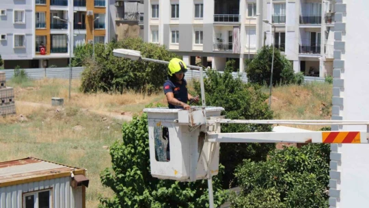 Aydın'da balkonda sıkışan kumruyu vatandaşın dikkati kurtardı