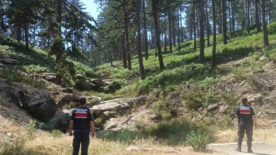 Aydın'da bir ayda 147 kişiye 293 bin TL ceza