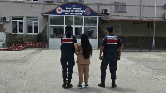 Aydın'da bir ayda 195 aranan şahıs jandarmadan kaçamadı