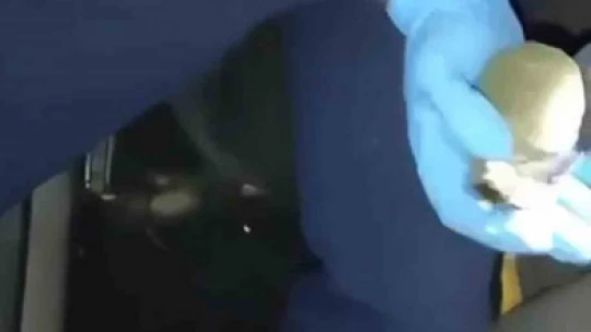 Aydın'da bir otomobilde yapılan aramada el bombası ele geçirildi