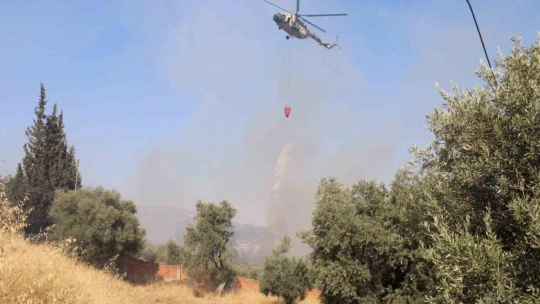 Aydın'da çıkan yangın ekipleri harekete geçirdi