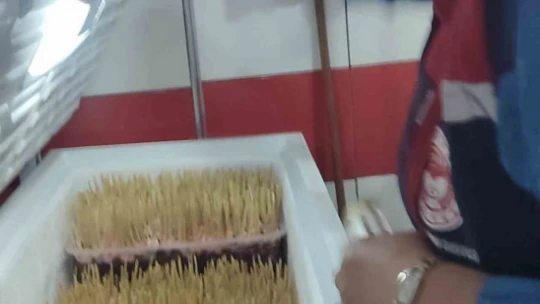 Aydın'da çöp şiş ve et ürünlerine sıkı denetim