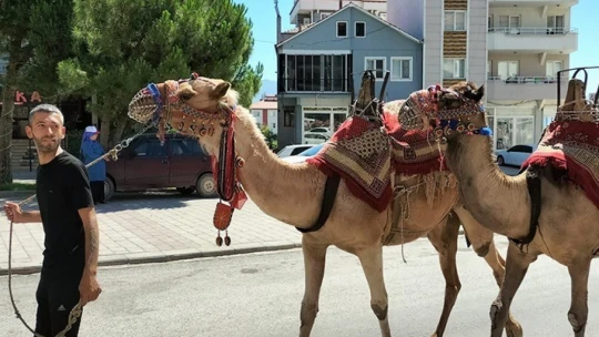 Aydın'da düzenlenecek olan Yörük Çalıştayı hazırlıkları tamamlandı