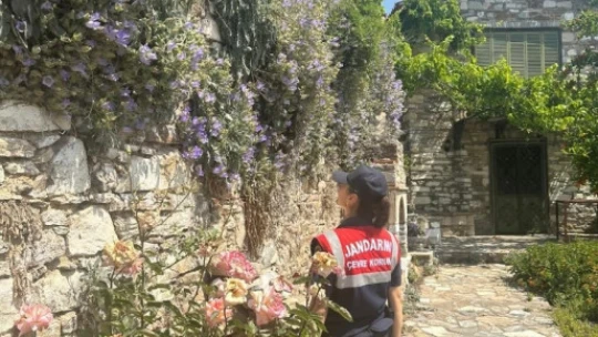Aydın'da endemik türlere Jandarma koruması