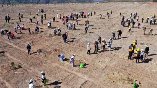 Aydın'da fidanlar toprakla buluştu