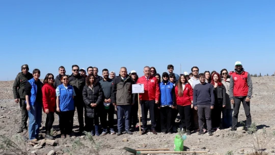 Aydın'da fidanlar toprakla buluştu