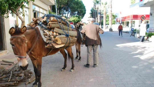 Aydın'da geleneksel kış hazırlıkları başladı
