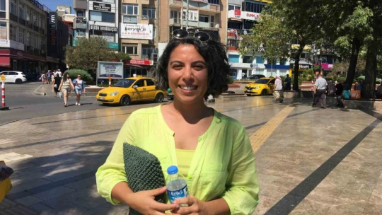 Aydın'da hava sıcaklığı 43 dereceye çıktı