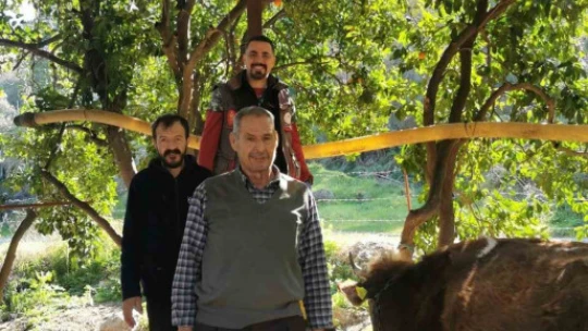 Aydın'da hayvan sağlığı saha çalışmaları devam ediyor