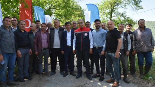 Aydın'da ilk kez denendi, kestane üreticisine umut oldu