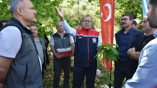 Aydın'da ilk kez denendi, kestane üreticisine umut oldu