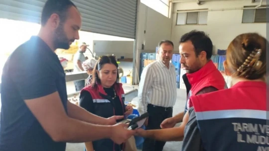 Aydın'da incir üreticilerine aflatoksin ve okratoksin uyarısı