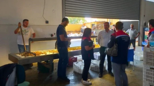 Aydın'da incir üreticilerine aflatoksin ve okratoksin uyarısı