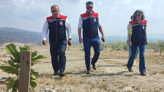 Aydın'da incir üretimine kalite katacak proje denetlendi