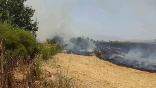 Aydın'da itfaiye ekipleri yangından yangına koştu
