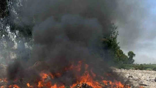 Aydın'da itfaiye ekipleri yangından yangına koştu
