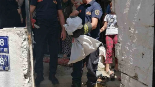 Aydın'da itfaiye ekiplerinden yılan operasyonu