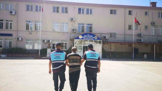 Aydın'da jandarma ekipleri 24 aranan şahsı yakaladı