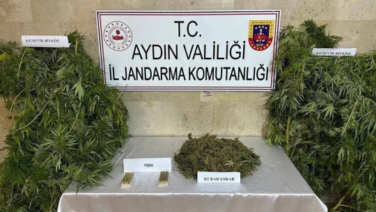 Aydın'da jandarmadan Kasım ayında 169 gözaltı