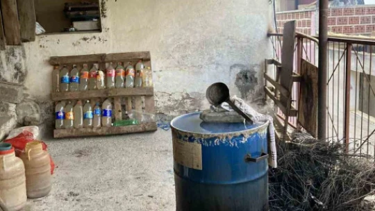 Aydın'da kekikler şifa için kaynatılmaya başlandı