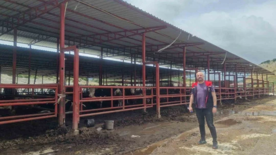 Aydın'da kurban satış ve kesim yerleri denetlendi