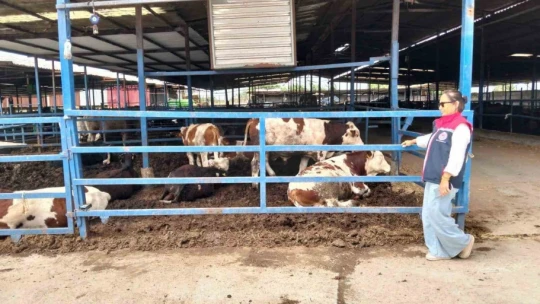 Aydın'da kurban satış ve kesim yerleri denetlendi