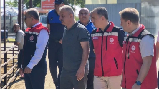 Aydın'da kurban satış yerleri denetleniyor