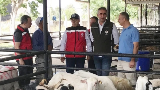 Aydın'da kurban satış yerlerinde sıkı denetim