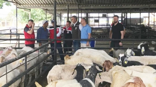 Aydın'da kurban satış yerlerinde sıkı denetim