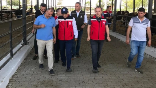 Aydın'da kurban satış yerlerinde sıkı denetim